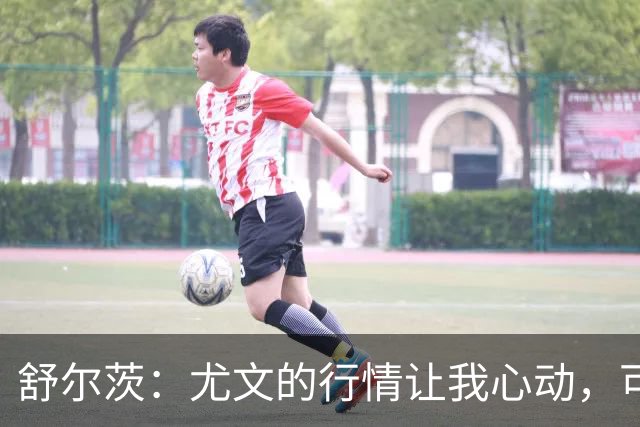 舒尔茨：尤文的行情让我心动，可惜钱包太瘪没成交